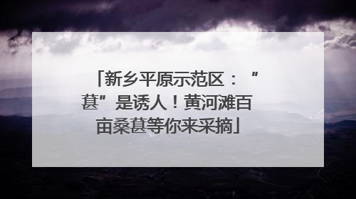 新乡平原示范区：“葚”是诱人！黄河滩百亩桑葚等你来采摘