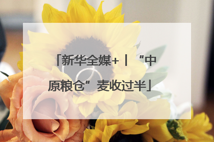新华全媒+丨“中原粮仓”麦收过半