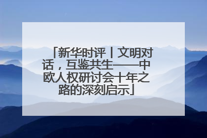 新华时评丨文明对话，互鉴共生——中欧人权研讨会十年之路的深刻启示