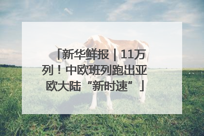 新华鲜报｜11万列！中欧班列跑出亚欧大陆“新时速”