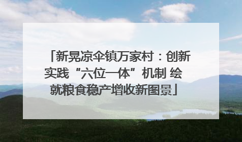 新晃凉伞镇万家村：创新实践“六位一体”机制 绘就粮食稳产增收新图景