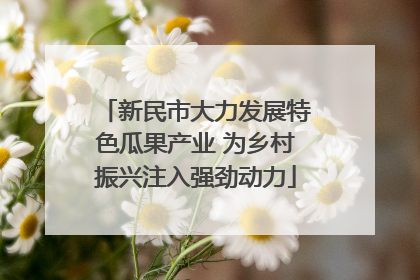 新民市大力发展特色瓜果产业 为乡村振兴注入强劲动力