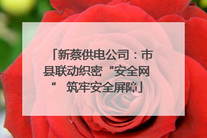 新蔡供电公司：市县联动织密“安全网” 筑牢安全屏障
