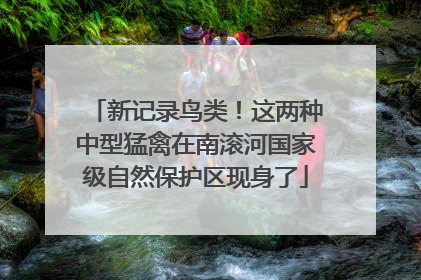 新记录鸟类！这两种中型猛禽在南滚河国家级自然保护区现身了