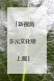 新视角 多元文化壁上观