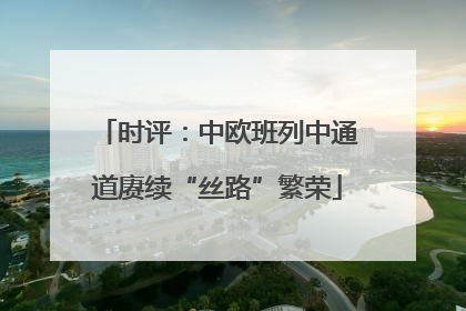 时评：中欧班列中通道赓续“丝路”繁荣