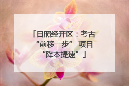 日照经开区：考古“前移一步” 项目“降本提速”