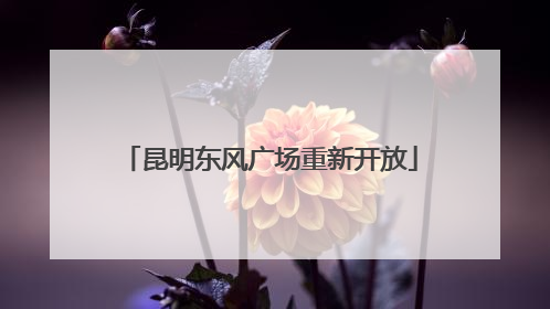 昆明东风广场重新开放
