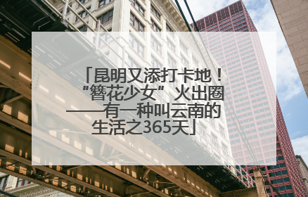 昆明又添打卡地！“簪花少女”火出圈——有一种叫云南的生活之365天