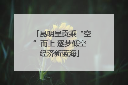 昆明呈贡乘“空”而上 逐梦低空经济新蓝海