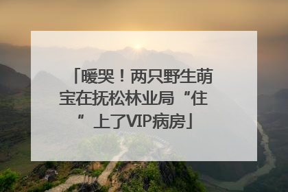 暖哭！两只野生萌宝在抚松林业局“住”上了VIP病房