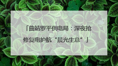 曲靖罗平供电局：深夜抢修复电护航“晨光生意”