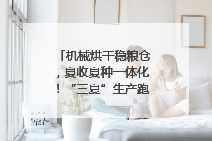 机械烘干稳粮仓，夏收夏种一体化！“三夏”生产跑出加速度｜麦报