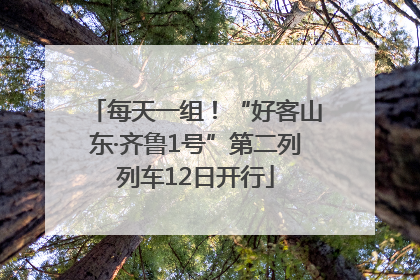 每天一组！“好客山东·齐鲁1号”第二列列车12日开行