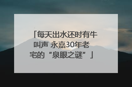 每天出水还时有牛叫声 永嘉30年老宅的“泉眼之谜”