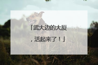 武大边的大厦，活起来了！