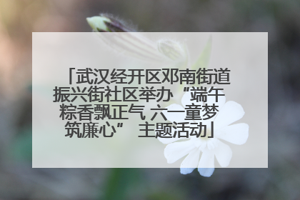 武汉经开区邓南街道振兴街社区举办“端午粽香飘正气 六一童梦筑廉心” 主题活动