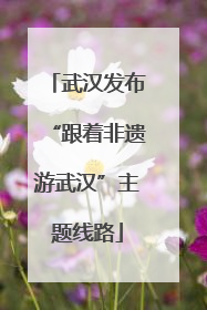 武汉发布“跟着非遗游武汉”主题线路