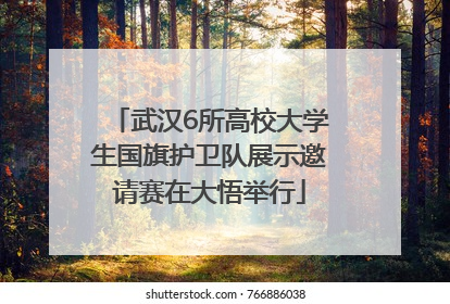 武汉6所高校大学生国旗护卫队展示邀请赛在大悟举行