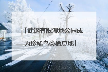 武钢有限湿地公园成为珍稀鸟类栖息地