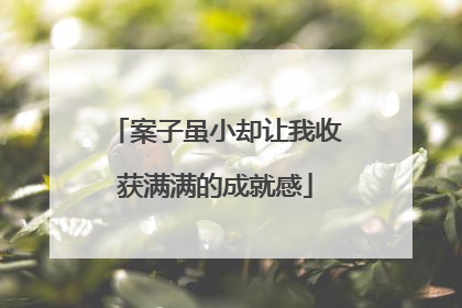 案子虽小却让我收获满满的成就感