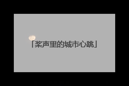 桨声里的城市心跳