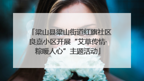 梁山县梁山街道红旗社区良嘉小区开展“艾草传情·粽暖人心”主题活动
