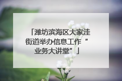 潍坊滨海区大家洼街道举办信息工作“业务大讲堂”