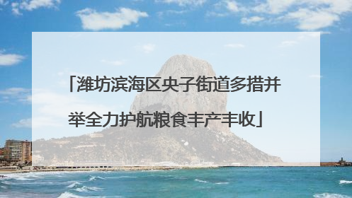 潍坊滨海区央子街道多措并举全力护航粮食丰产丰收