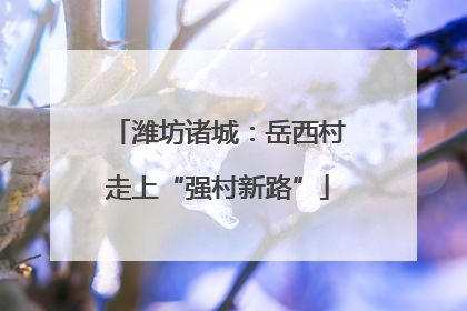 潍坊诸城：岳西村走上“强村新路”