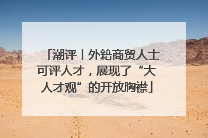 潮评丨外籍商贸人士可评人才，展现了“大人才观”的开放胸襟
