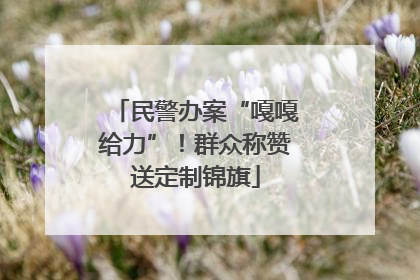 民警办案“嘎嘎给力”！群众称赞送定制锦旗