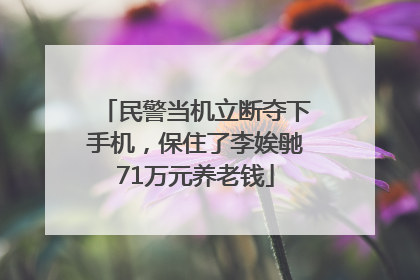 民警当机立断夺下手机，保住了李娭毑71万元养老钱