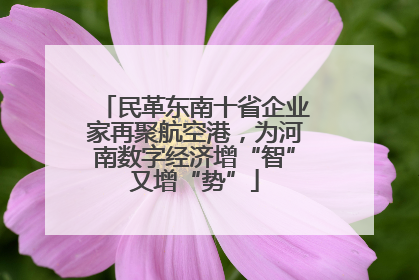 民革东南十省企业家再聚航空港，为河南数字经济增“智”又增“势”
