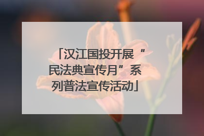 汉江国投开展“民法典宣传月”系列普法宣传活动