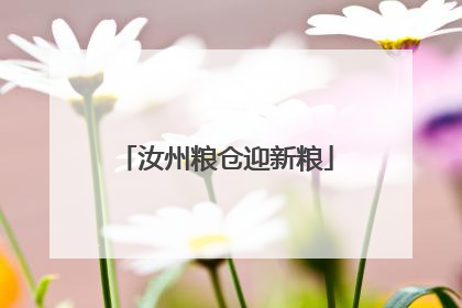 汝州粮仓迎新粮