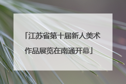 江苏省第十届新人美术作品展览在南通开幕