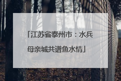 江苏省泰州市：水兵母亲城共谱鱼水情