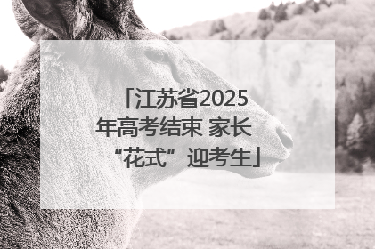 江苏省2025年高考结束 家长“花式”迎考生