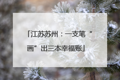 江苏苏州：一支笔“画”出三本幸福账
