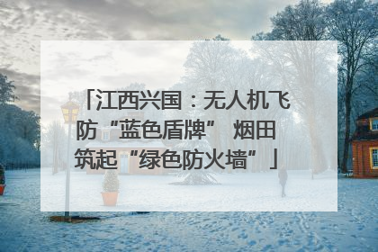 江西兴国：无人机飞防“蓝色盾牌” 烟田筑起“绿色防火墙”