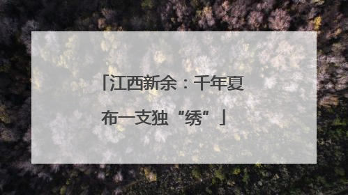 江西新余：千年夏布一支独“绣”