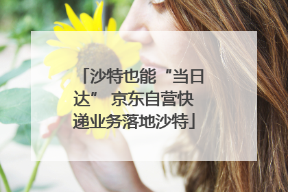 沙特也能“当日达” 京东自营快递业务落地沙特