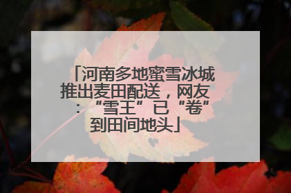 河南多地蜜雪冰城推出麦田配送，网友：“雪王”已“卷”到田间地头