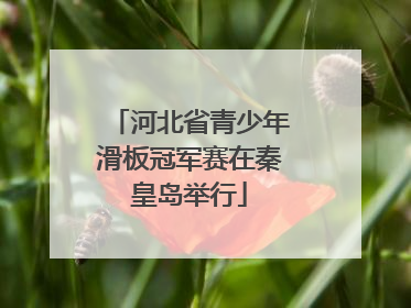 河北省青少年滑板冠军赛在秦皇岛举行