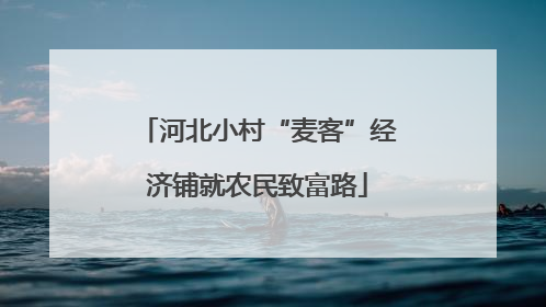 河北小村“麦客”经济铺就农民致富路