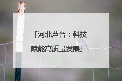 河北芦台：科技赋能高质量发展