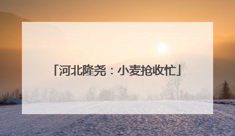 河北隆尧：小麦抢收忙