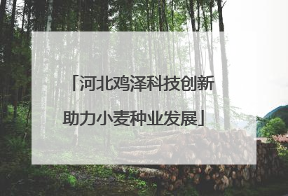 河北鸡泽科技创新助力小麦种业发展
