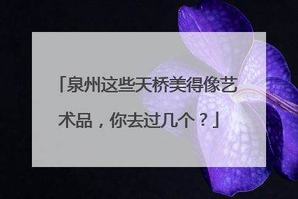 泉州这些天桥美得像艺术品，你去过几个？